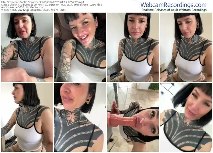 stripchat-inkedbiitch-04-14-2025-06-54-22