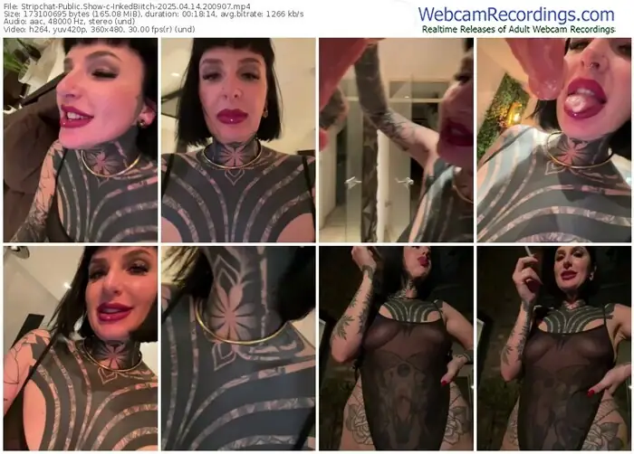 stripchat-inkedbiitch-04-14-2025-20-09-07