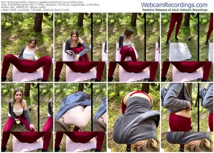 stripchat-larablond-04-14-2025-11-53-35