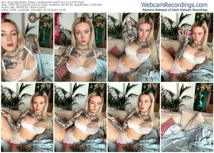 stripchat-stella-kink-04-14-2025-11-47-53