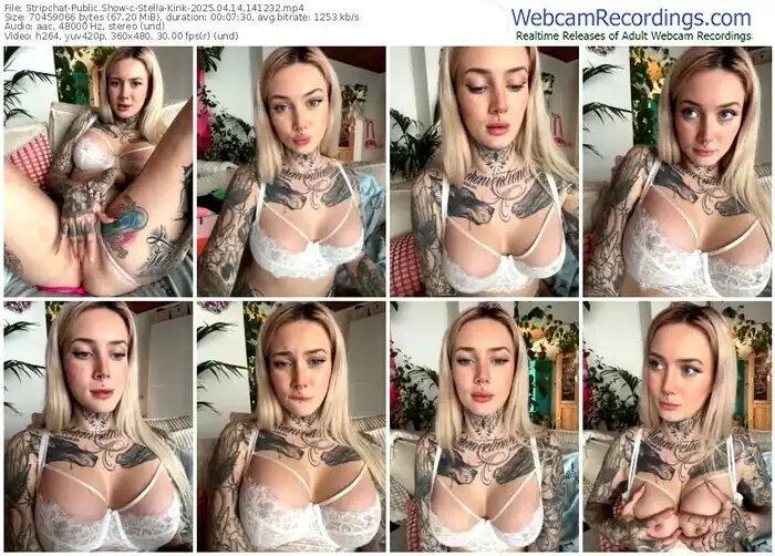 stripchat-stella-kink-04-14-2025-14-12-32