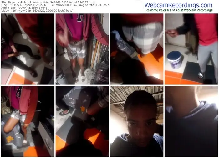 stripchat-joeking369963-04-14-2025-18-07-57