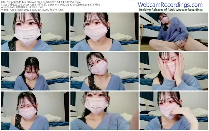 stripchat-00_aoi_00-04-14-2025-03-29-52