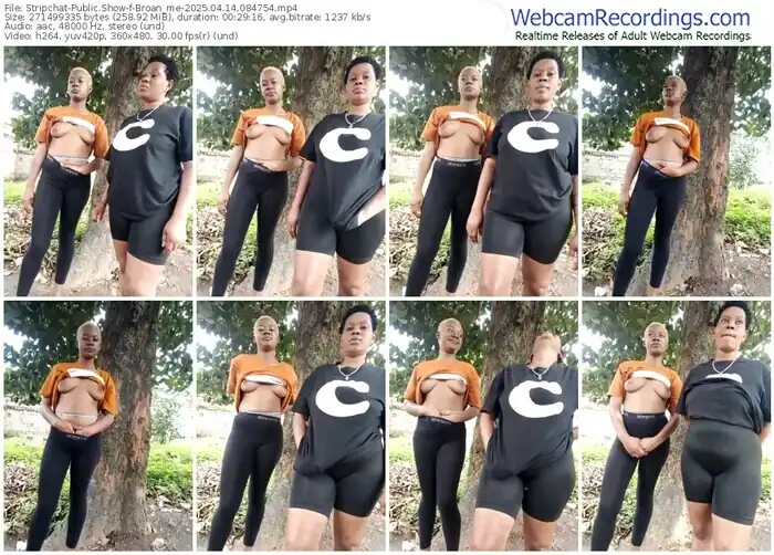 stripchat-broan_me-04-14-2025-08-47-54