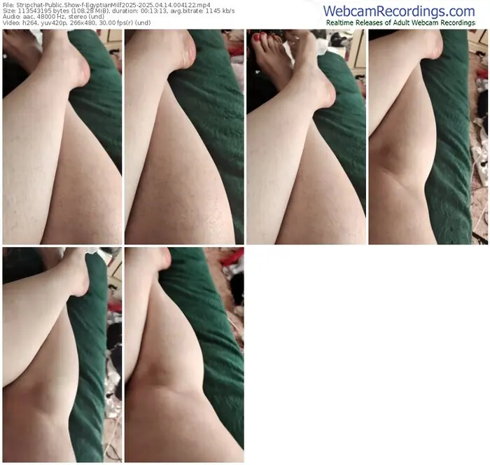 stripchat-egyptianmilf2025-04-14-2025-00-41-22