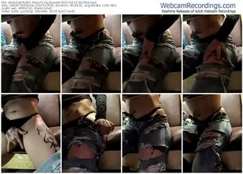 stripchat-lila_desiree-04-14-2025-00-33-54