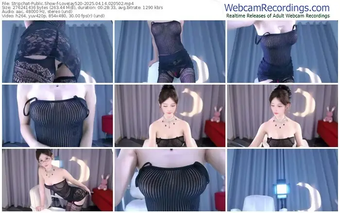 stripchat-lovejay520-04-14-2025-02-05-02