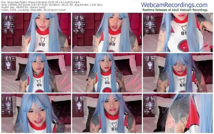 stripchat-ninaink-04-14-2025-14-24-25