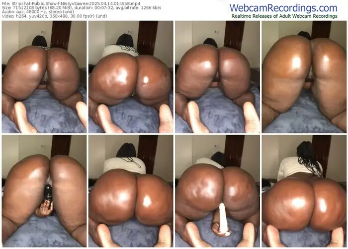 stripchat-nissyxsawee-04-14-2025-01-45-58