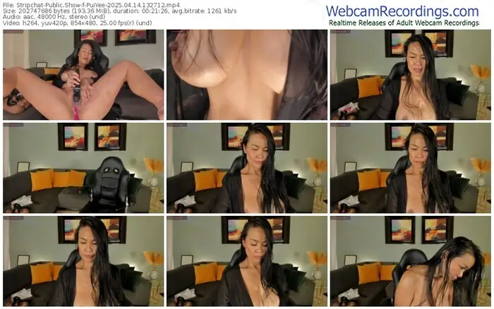 stripchat-puiyee-04-14-2025-13-27-12