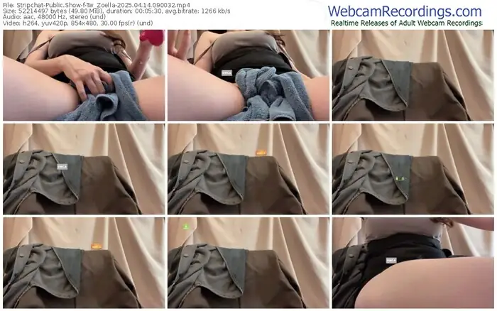 stripchat-tw_zoella-04-14-2025-09-00-32