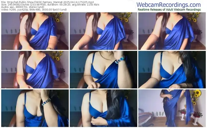 stripchat-wild_fantasy_mannat-04-14-2025-17-52-25