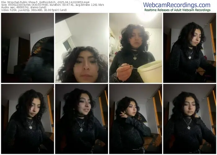 stripchat-_gothiccbitch_-04-14-2025-02-28-53