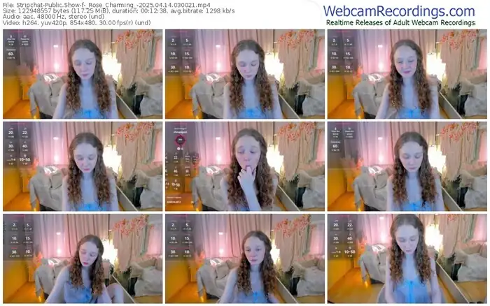 stripchat-_rose_charming_-04-14-2025-03-00-21