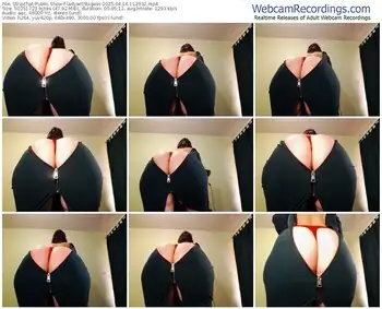 stripchat-ladywithbigass-04-14-2025-11-29-32