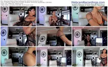 stripchat-sofiasexhot-04-14-2025-14-11-31