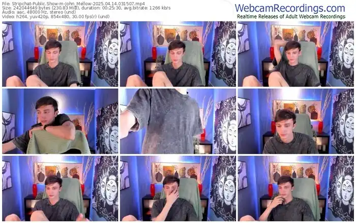 stripchat-john_mellow-04-14-2025-03-15-07