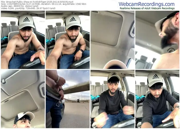 stripchat-ticklishtiger-04-14-2025-00-50-35