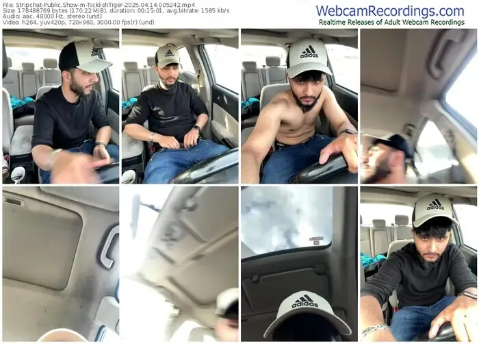 stripchat-ticklishtiger-04-14-2025-00-52-42