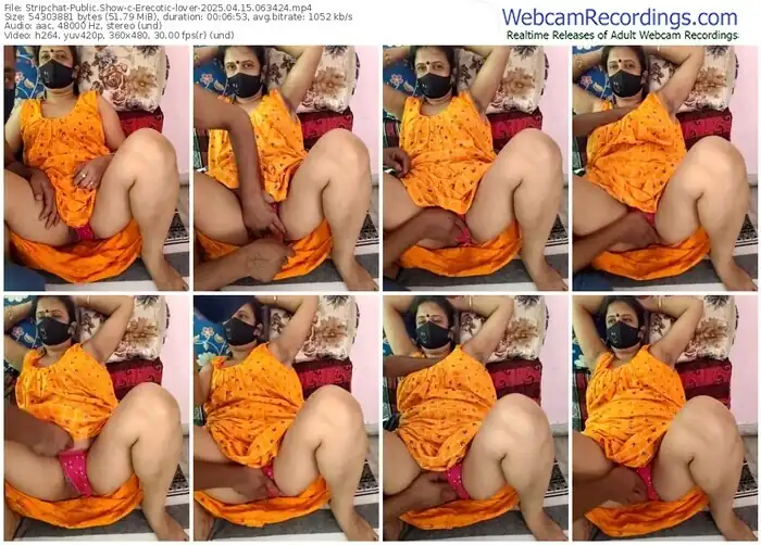 stripchat-erecotic-lover-04-15-2025-06-34-24