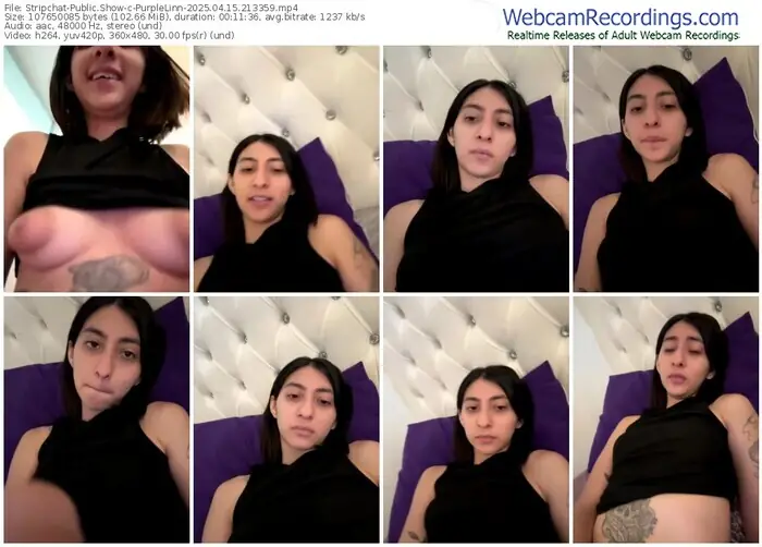 stripchat-purplelinn-04-15-2025-21-33-59