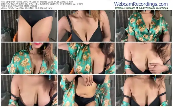 stripchat-cupid_of_hearts-04-15-2025-22-41-15