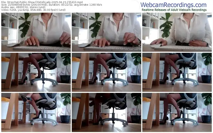 stripchat-fetishlady-04-15-2025-15-54-10