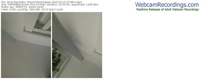 stripchat-misskhaleeji-04-15-2025-07-38-14