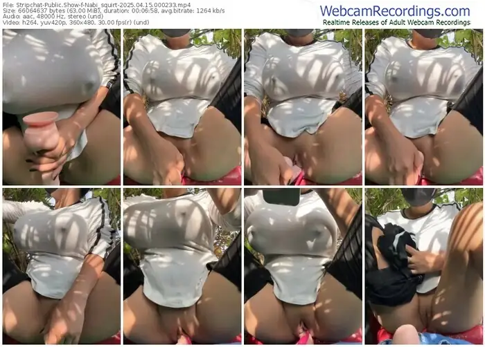 stripchat-nabi_squirt-04-15-2025-00-02-33