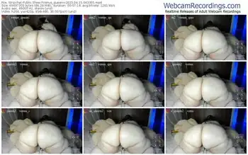 stripchat-venus_queenn-04-15-2025-04-33-55