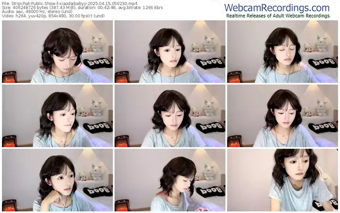stripchat-xiaodaibabyy-04-15-2025-05-02-30