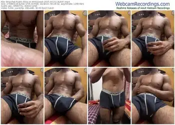 stripchat-wild_beast-04-15-2025-18-26-47