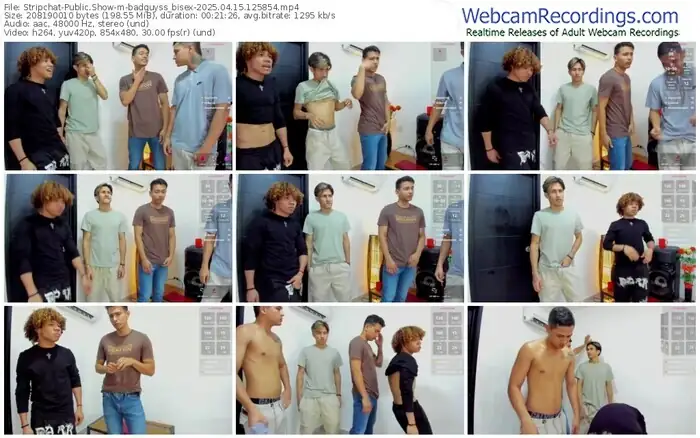 stripchat-badguyss_bisex-04-15-2025-12-58-54