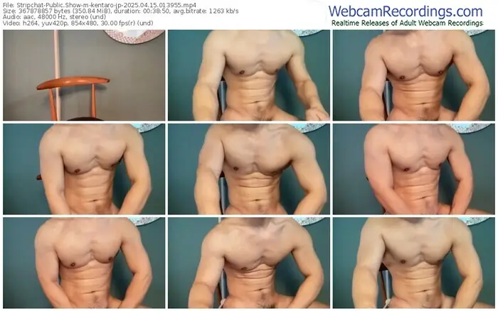 stripchat-kentaro-jp-04-15-2025-01-39-55