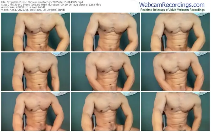 stripchat-kentaro-jp-04-15-2025-01-43-25