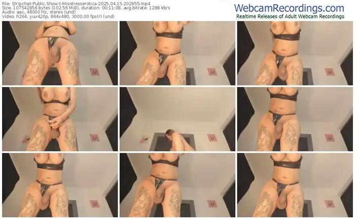 stripchat-misstresserotica-04-15-2025-20-29-55