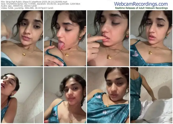 stripchat-cuteerose-04-16-2025-23-18-09