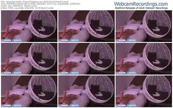 stripchat-dakota_lee-04-16-2025-06-22-03