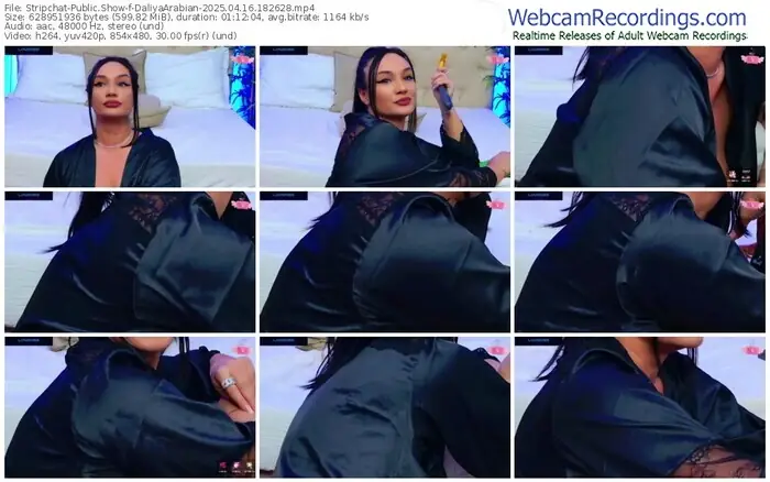 stripchat-daliyaarabian-04-16-2025-18-26-28