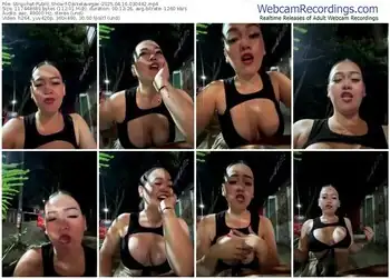 stripchat-danielavegax-04-16-2025-03-04-42