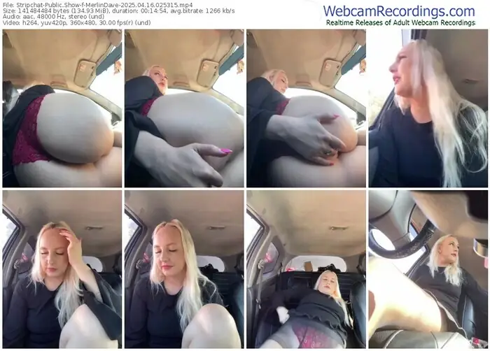 stripchat-merlindave-04-16-2025-02-53-15