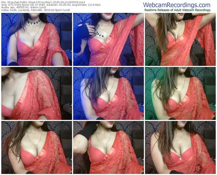 stripchat-princyroy1-04-16-2025-09-25-05