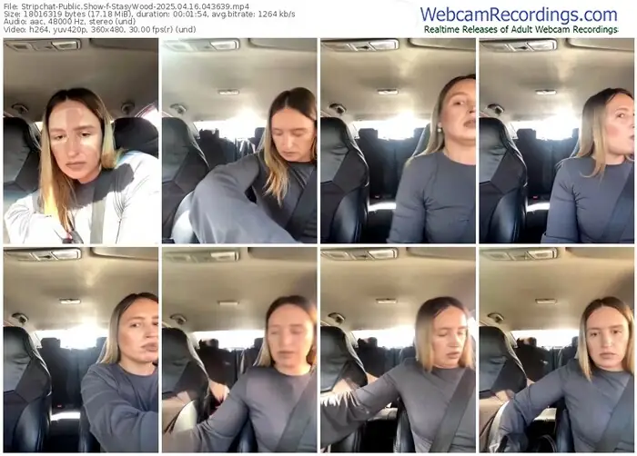 stripchat-stasywood-04-16-2025-04-36-39