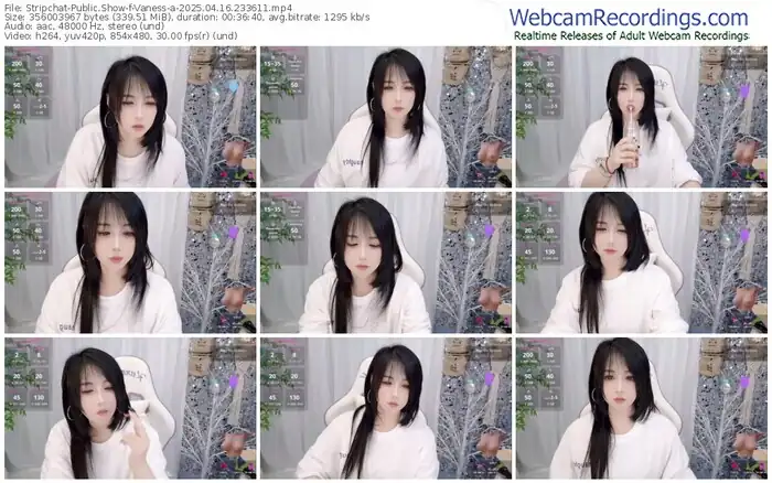 stripchat-vaness-a-04-16-2025-23-36-11