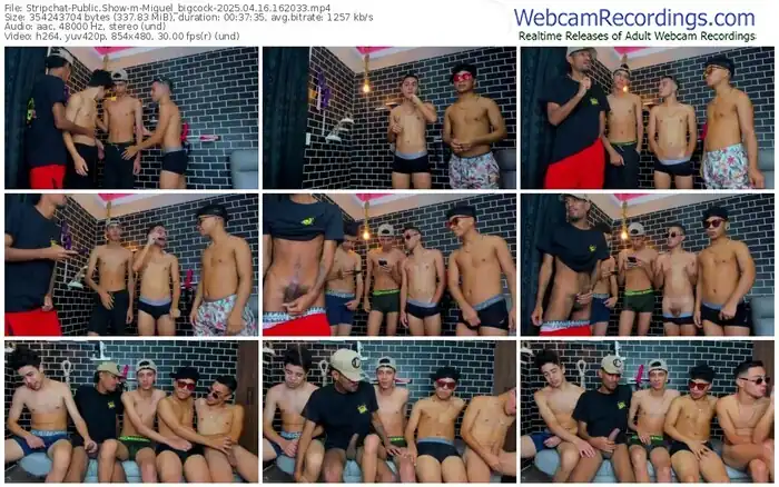stripchat-miguel_bigcock-04-16-2025-16-20-33