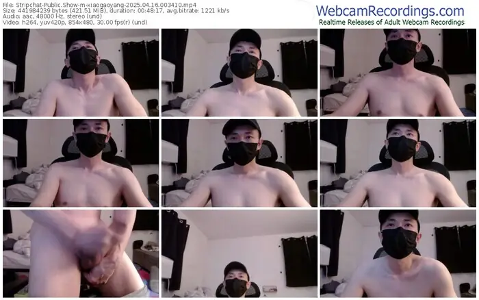 stripchat-xiaogaoyang-04-16-2025-00-34-10