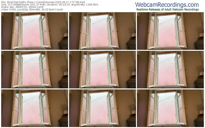 stripchat-clairedelunee-04-17-2025-17-17-48