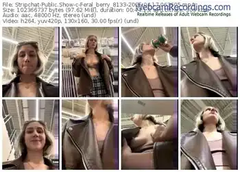 stripchat-feral_berry_8133-04-17-2025-06-36-05