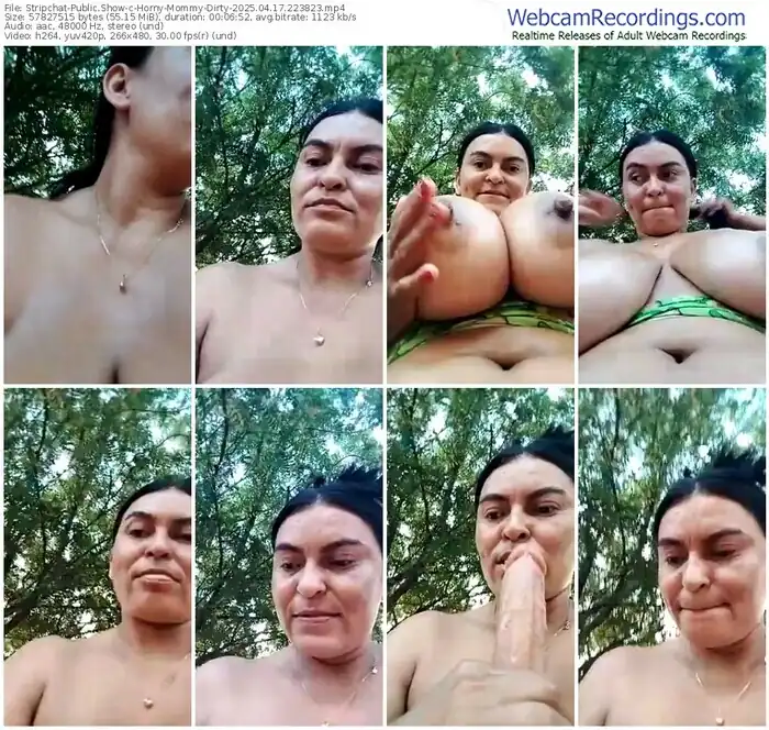 stripchat-horny-mommy-dirty-04-17-2025-22-38-23