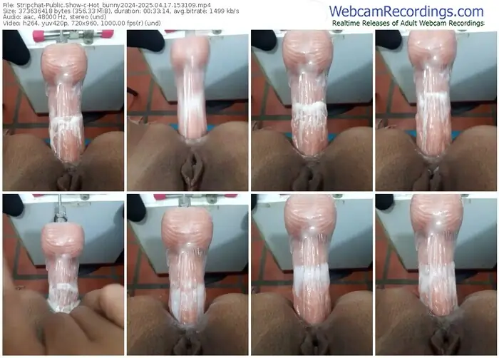 stripchat-hot_bunny2024-04-17-2025-15-31-09